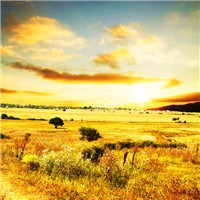 夕阳无限好，只是近黄昏头像图片