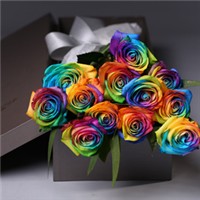 彩色玫瑰的惊喜头像图片