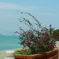 美丽鼓浪屿头像图片