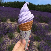 薰衣草冰淇淋头像图片