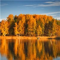 金秋九月头像图片