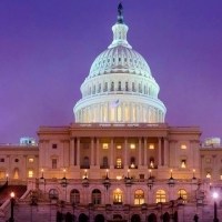 白金汉宫头像图片