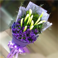 勿忘我花束头像图片