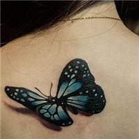 3d立体蝴蝶纹身图案头像图片