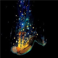 卡通动漫溺水系头像图片