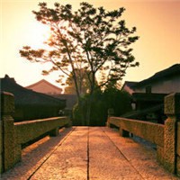 乌镇的不胜美景头像图片