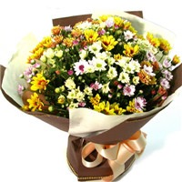 雏菊花束头像图片