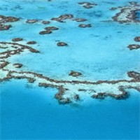 澳大利亚大堡礁头像图片