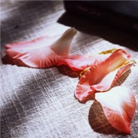 岁月静好 我独安然头像图片