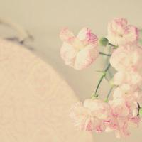 微微的淡雅头像图片