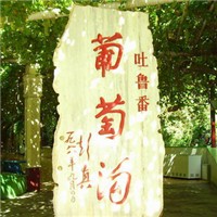 吐鲁番头像图片