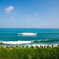 爱上大海头像图片