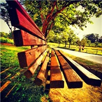 落叶下的座椅头像图片