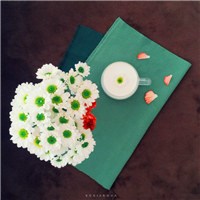 白色小雏菊头像图片