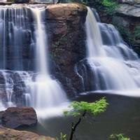 静待四季的变幻头像图片