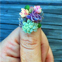 指尖的多肉头像图片