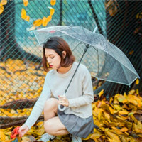 我和小黄叶的约会头像图片