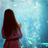 爱上你的背影头像图片