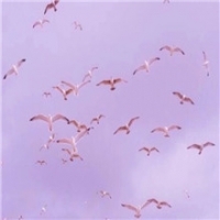 粉色系世界头像图片