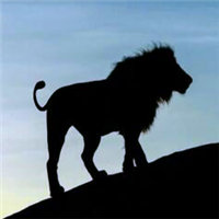 非洲大草原上的动物剪影头像图片