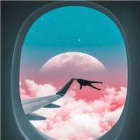 你想要去哪儿头像图片