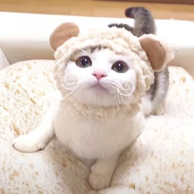 超可爱的情侣头像(图8)