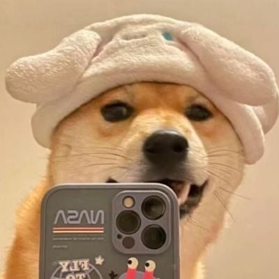 我是牛逼的狗子(图2)