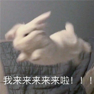 最新的有趣微信聊天表情大全 超级热门的好笑聊天表情(图9)