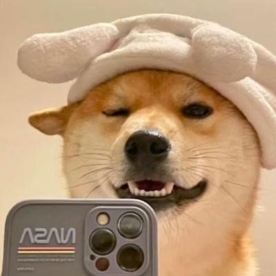 我是牛逼的狗子