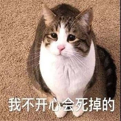 弱小可怜又无助的表情包 超级有趣的热门聊天表情大全(图4)