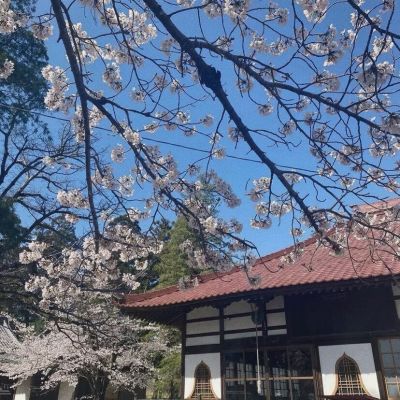 意境唯美背景，y棉耳日记(图2)