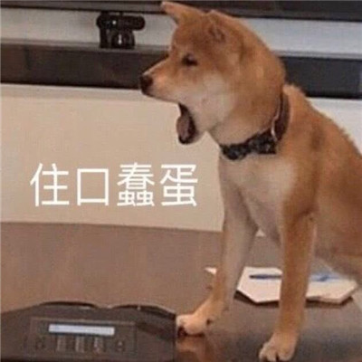 很实用的斗图沙雕表情精选合集 全网超级火的爆笑表情大全(图6)