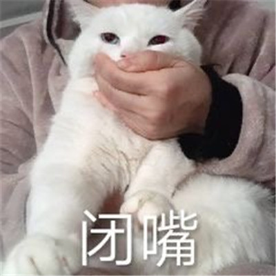 2021闭嘴专用搞笑聊天表情包合集 聊天必备笑死人的精选表情(图2)