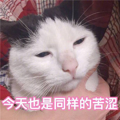 厌倦生活的难过微信表情包 我们都因折磨厌倦了生活(图2)