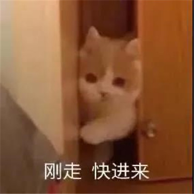 超级的幽默又超级的有趣表情大全 打字好累不聊了(图7)