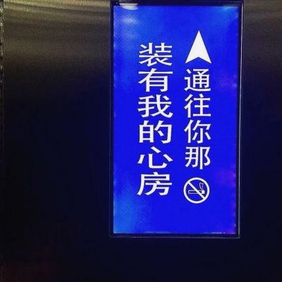 文字背景，y小柯基(图5)