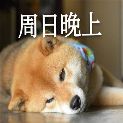 我的一周情绪变化搞笑表情 超级有趣的一周心情变化表情大全(图9)