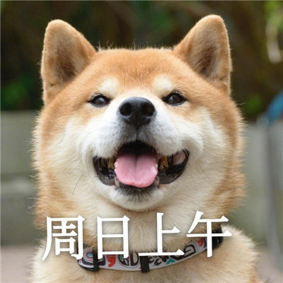 我的一周情绪变化搞笑表情 超级有趣的一周心情变化表情大全(图8)