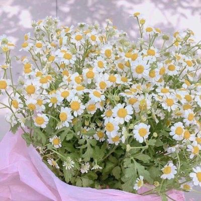 你给了我一束花，说要带我回家(图7)