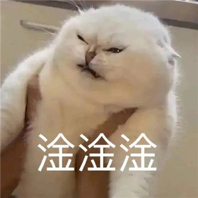 最新的有趣微信聊天表情大全 超级热门的好笑聊天表情(图7)