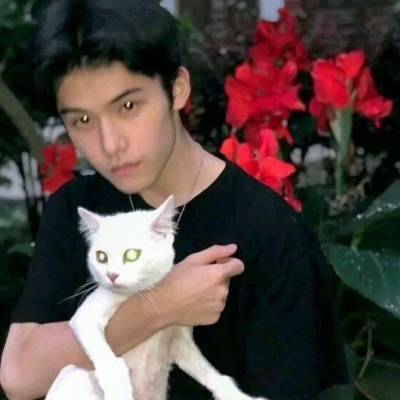 不明显情头(图10) 不明显情头(图10)