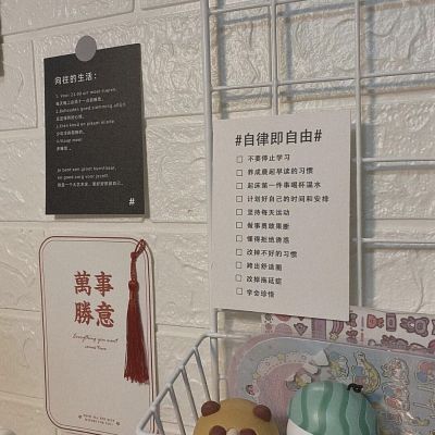 你是什么小熊(图6)