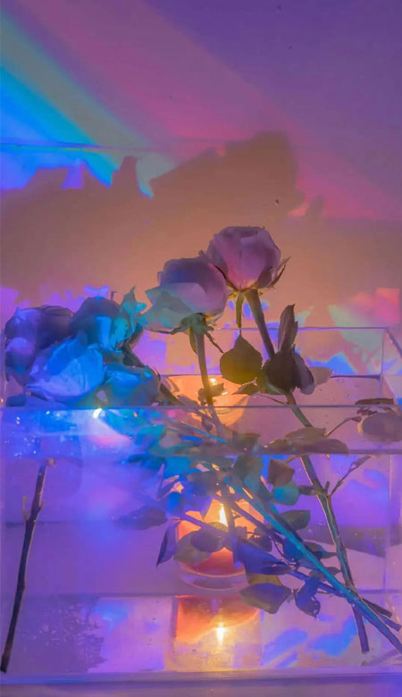 浅粉色壁纸可爱小清新日系好看 你没有如约而来这就是离别的意义(图9) 浅粉色壁纸可爱小清新日系好看 你没有如约而来这就是离别的意义(图9)