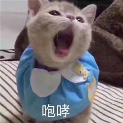 奶凶奶凶的日常聊天表情大全 用不用给你的脑子浇浇水(图5)