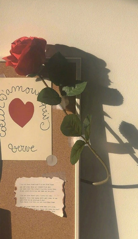 适合女孩子用的很有质感的手机壁纸 唯美又很小清新的女生皮肤(图7) 适合女孩子用的很有质感的手机壁纸 唯美又很小清新的女生皮肤(图7)