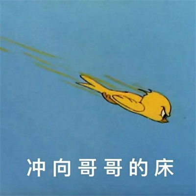 很骚气的个性又好笑的聊天表情 很污的有趣个性表情大全(图6)