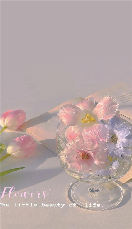 温柔系列超级好看的治愈壁纸大全 耐看的温柔系手机壁纸合集(图7) 温柔系列超级好看的治愈壁纸大全 耐看的温柔系手机壁纸合集(图7)