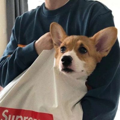 ins小清新文艺范男头表白是说明心意不是索取关系(图2)