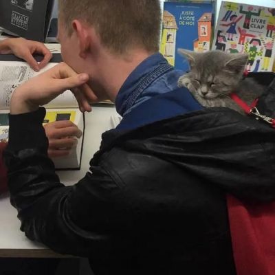 塑造自己过程很疼，但最终你能收获一个更好的自己(图9)