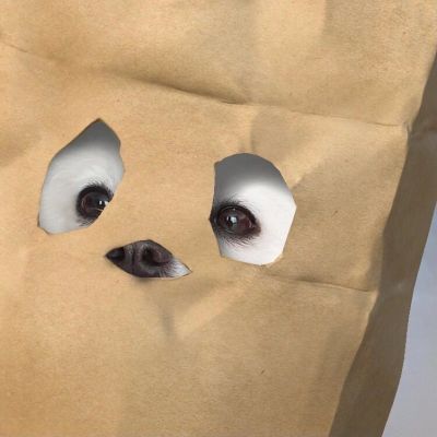 对于你不用形容也足以滚烫/情侣头像/(图2)